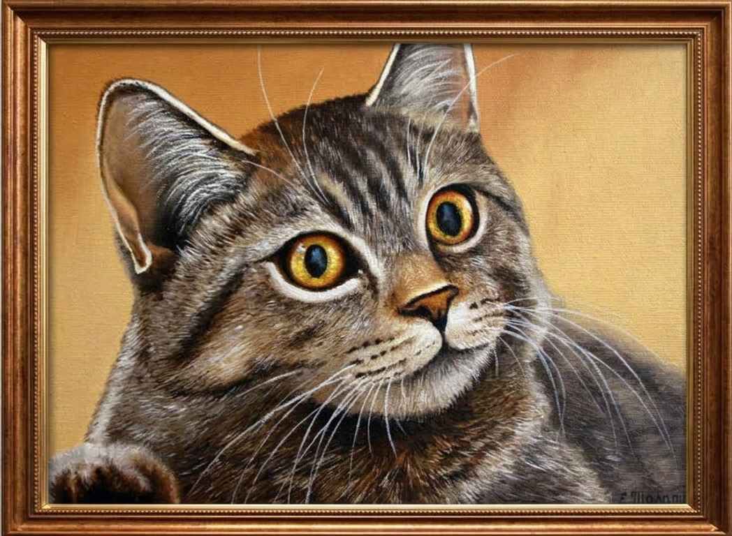 Животные